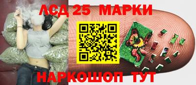 спайс Аша