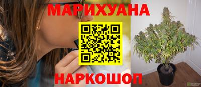 спайс Аша