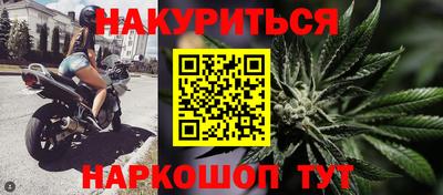 спайс Аша