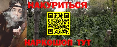 молекула духа Бердск