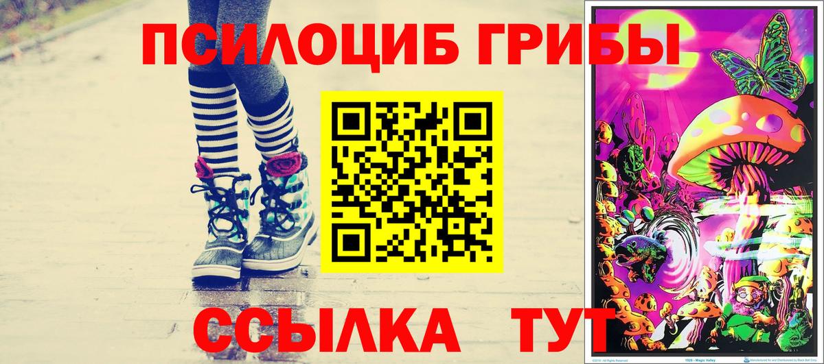 купить наркотик  Вход с VPN  Южно-Сахалинск  Псилоцибиновые грибы прущие грибы  Галлюциногенные грибы Cubensis 