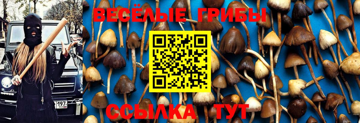 Псилоцибиновые грибы прущие грибы Южно-Сахалинск